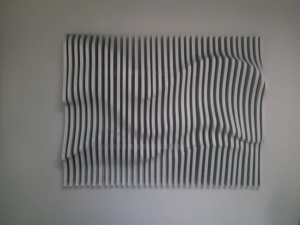 Waves of Contrast: A Dynamic Exploration of Line and Form in Monochrome Art