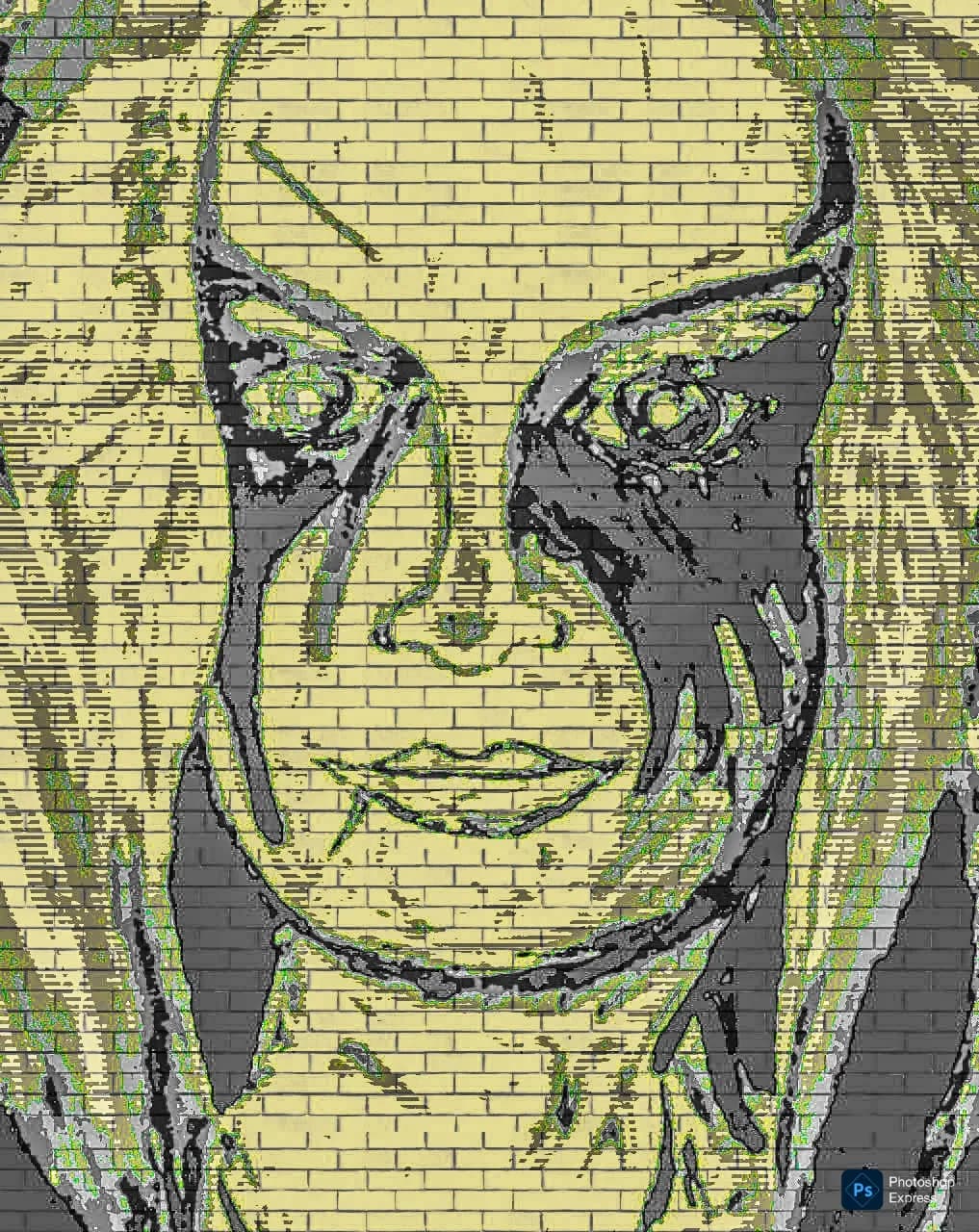 Urban Echoes: A Bold Portrait of Resilience and Emotion in Street Art
