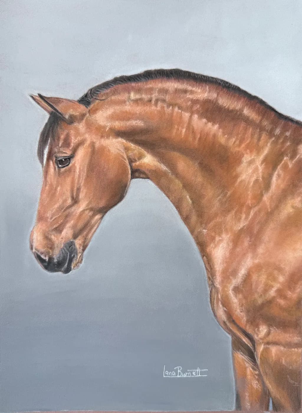 Majestic Equine Elegance: A Realistic Pastel Portrait of a Horse