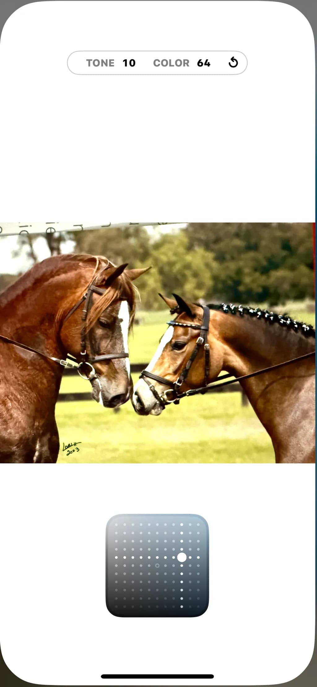 Whispers of Connection: A Close-Up Encounter Between Majestic Horses in Lush Greenery