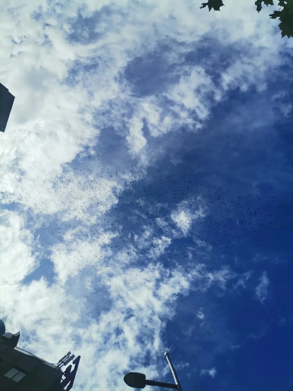 Sity sky, blue,urban