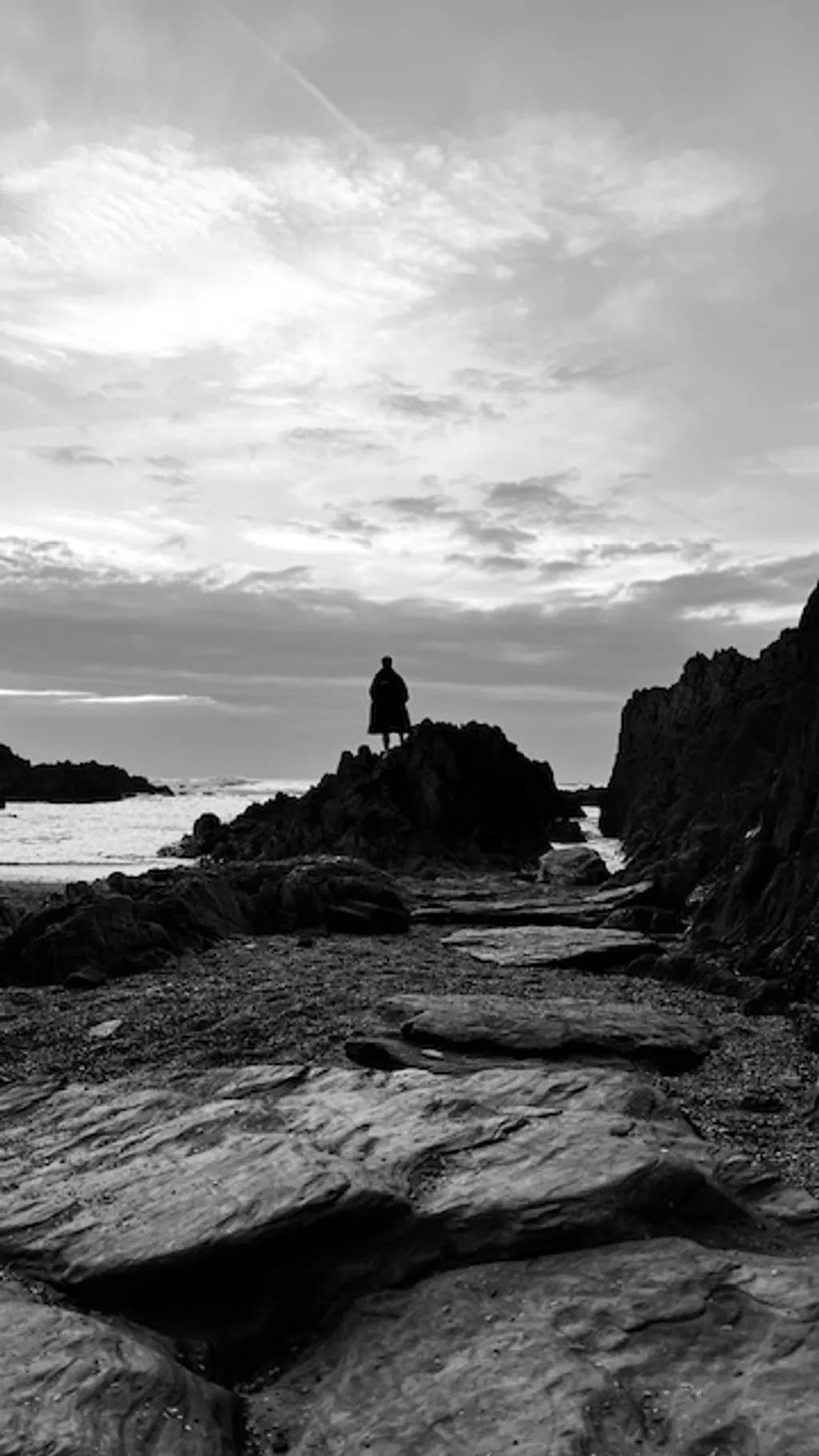Rocky Shore Silhouette