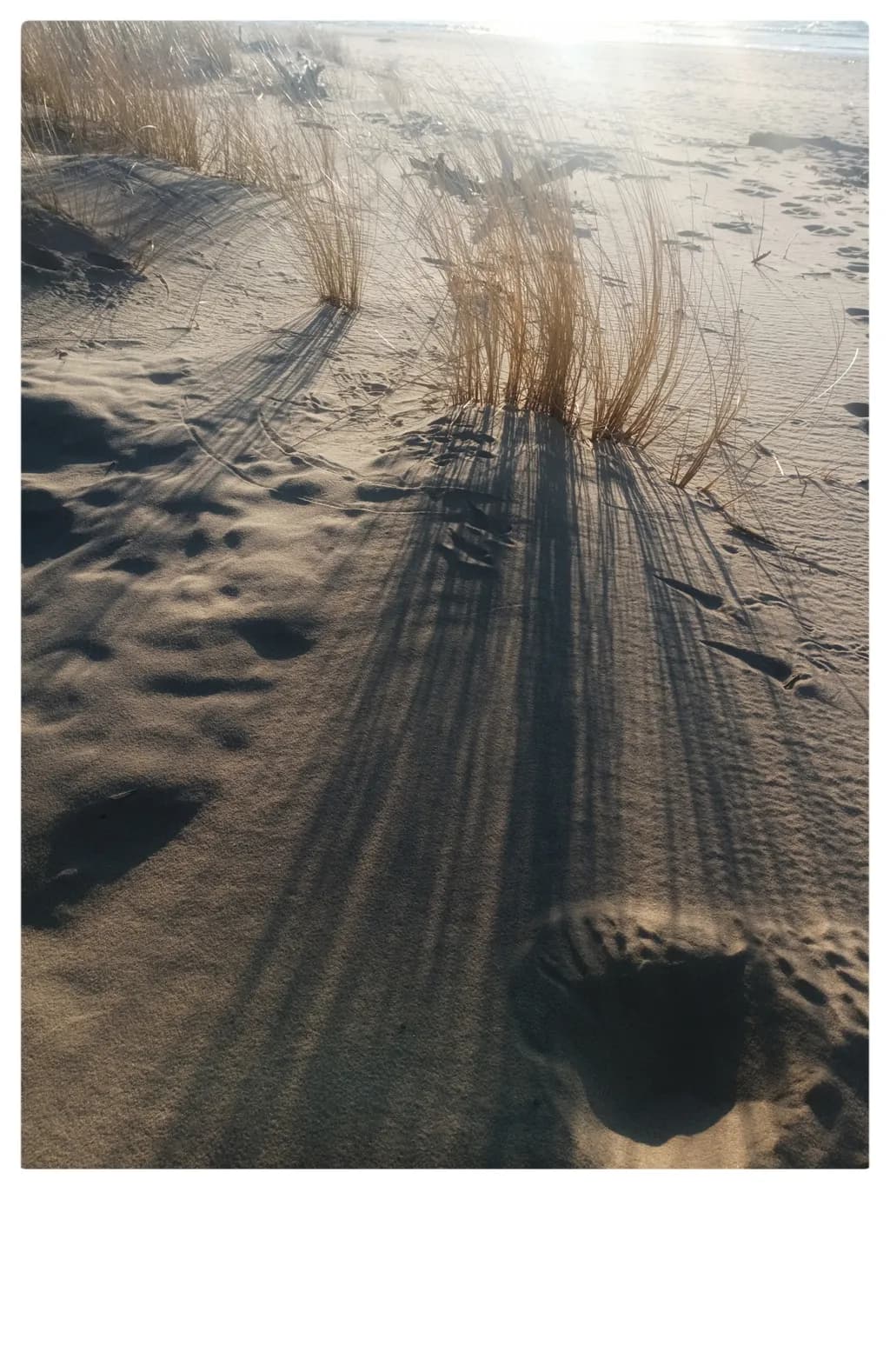 Whispers of Light: Shadows Dancing on Sandy Shores