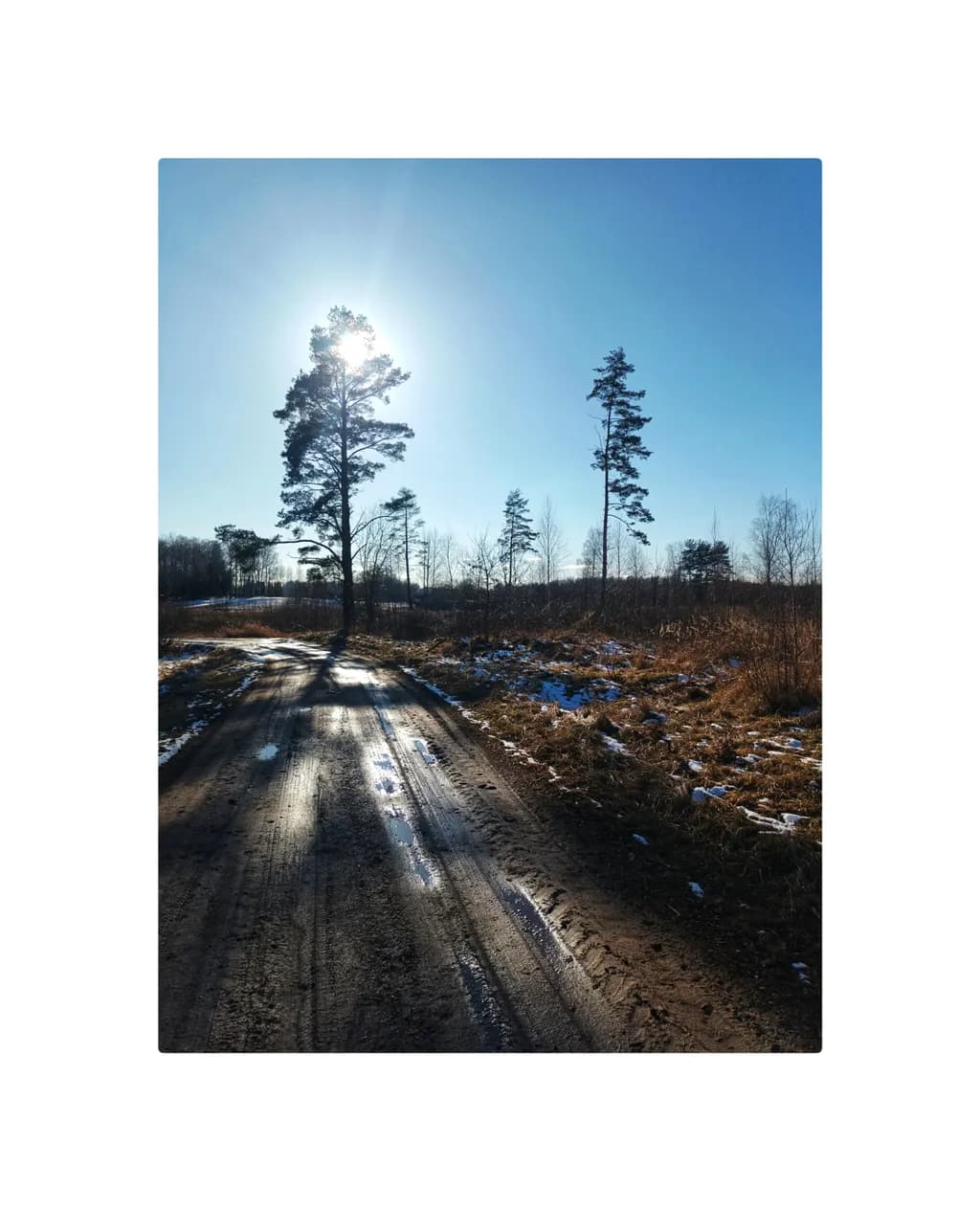 Whispers of Light: A Serene Winter Pathway Under the Sun's Embrace