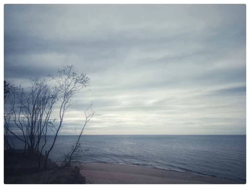Whispers of the Shore: A Serene Coastal Landscape at Dusk