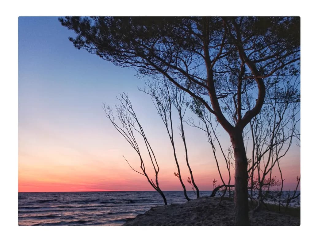 Whispers of Twilight: A Serene Sunset by the Shoreline