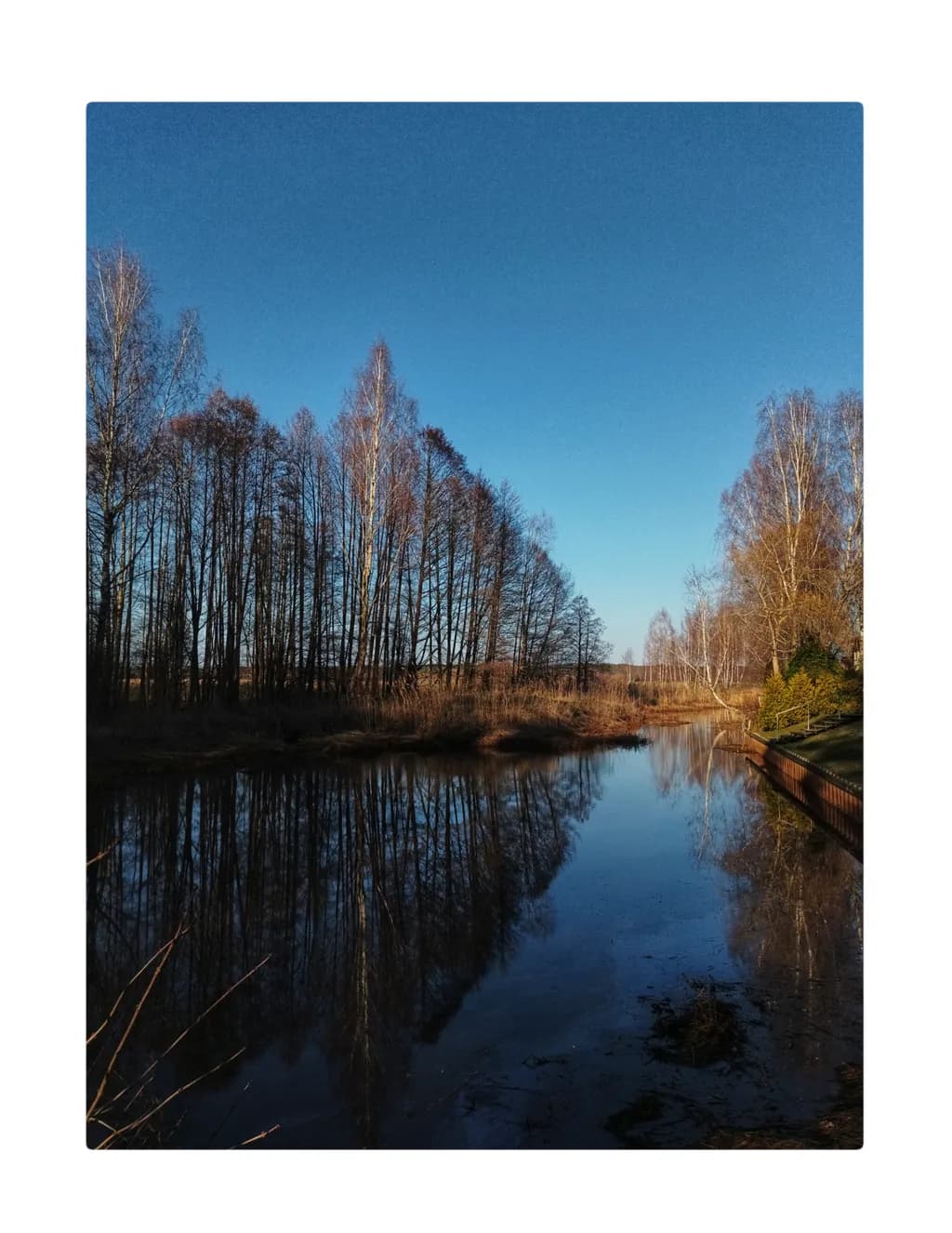 Serenity Reflected: A Tranquil River Scene Under a Clear Blue Sky