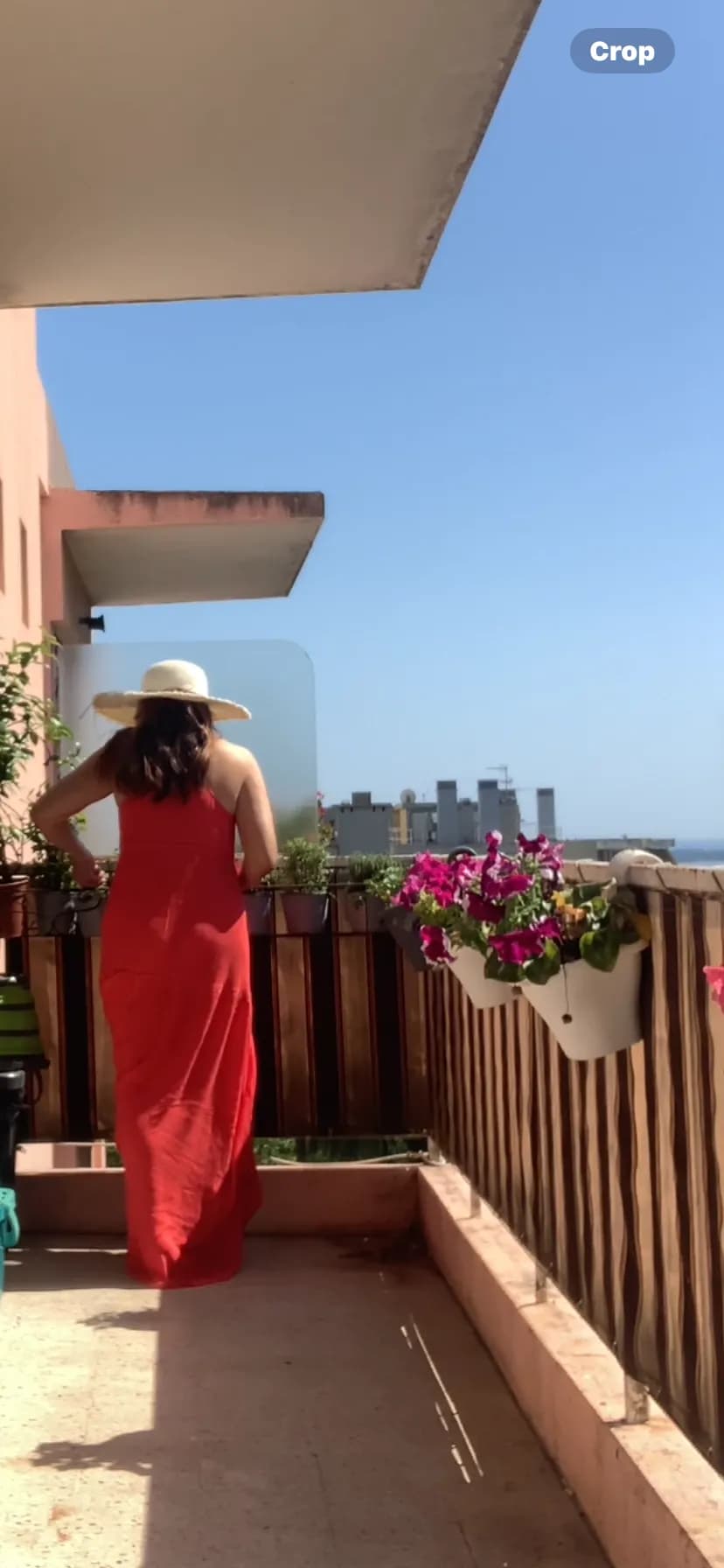 Balcony Bliss: Embracing Summer Serenity with Flowers and Sunlight