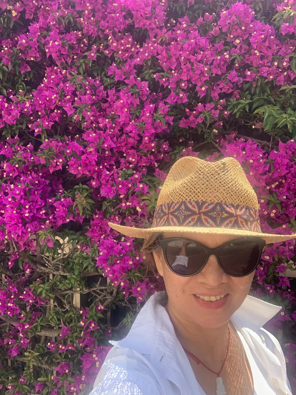 Vibrant Bougainvillea Bliss: A Celebration of Nature's Bold Colors and Textures