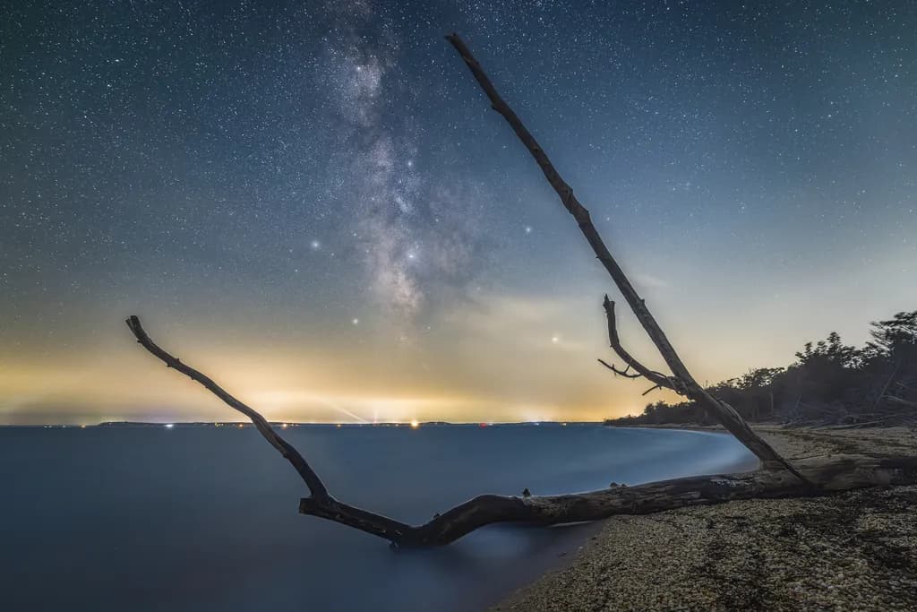 Orient Limb Nightscape