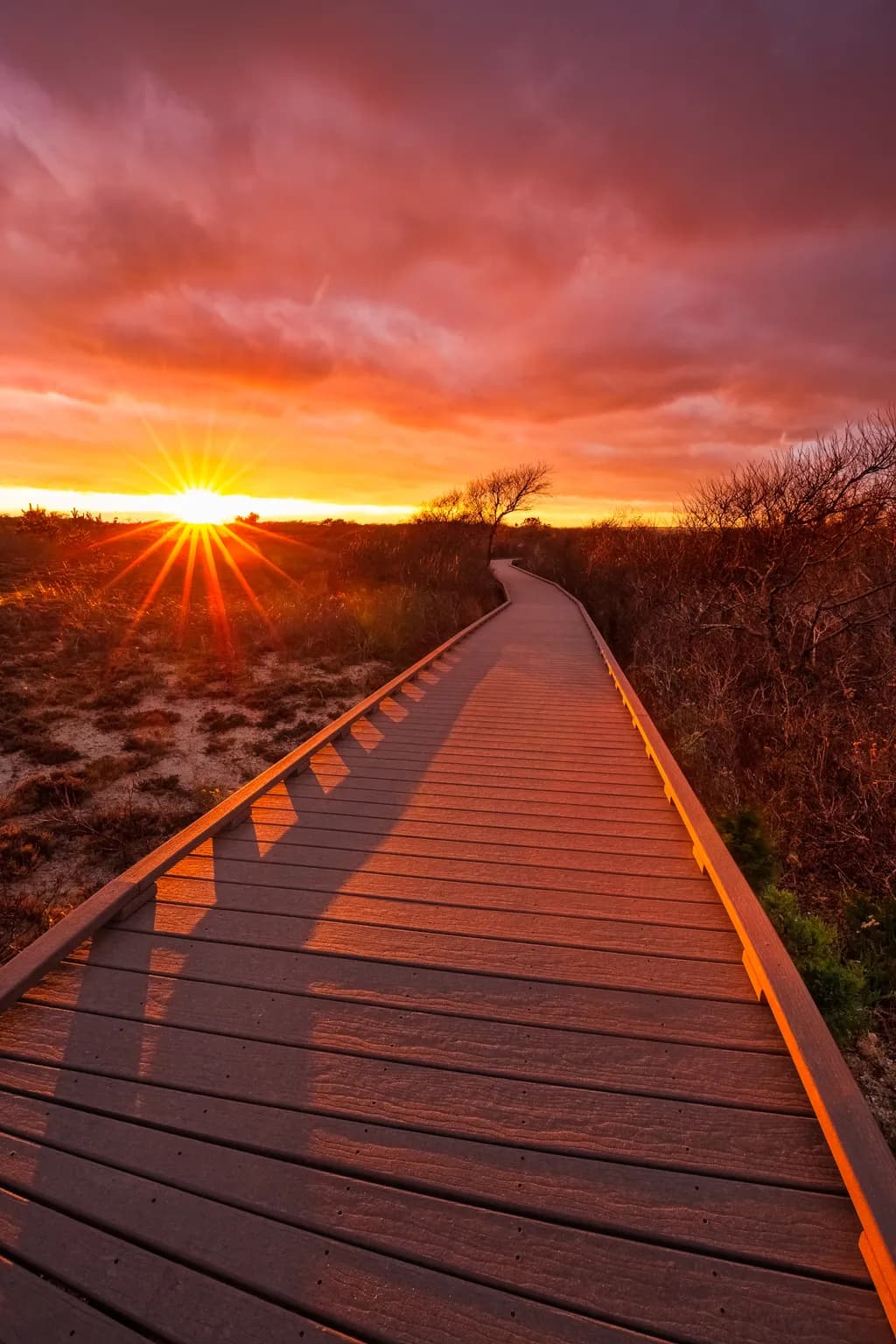 Eiernity Sunset Path