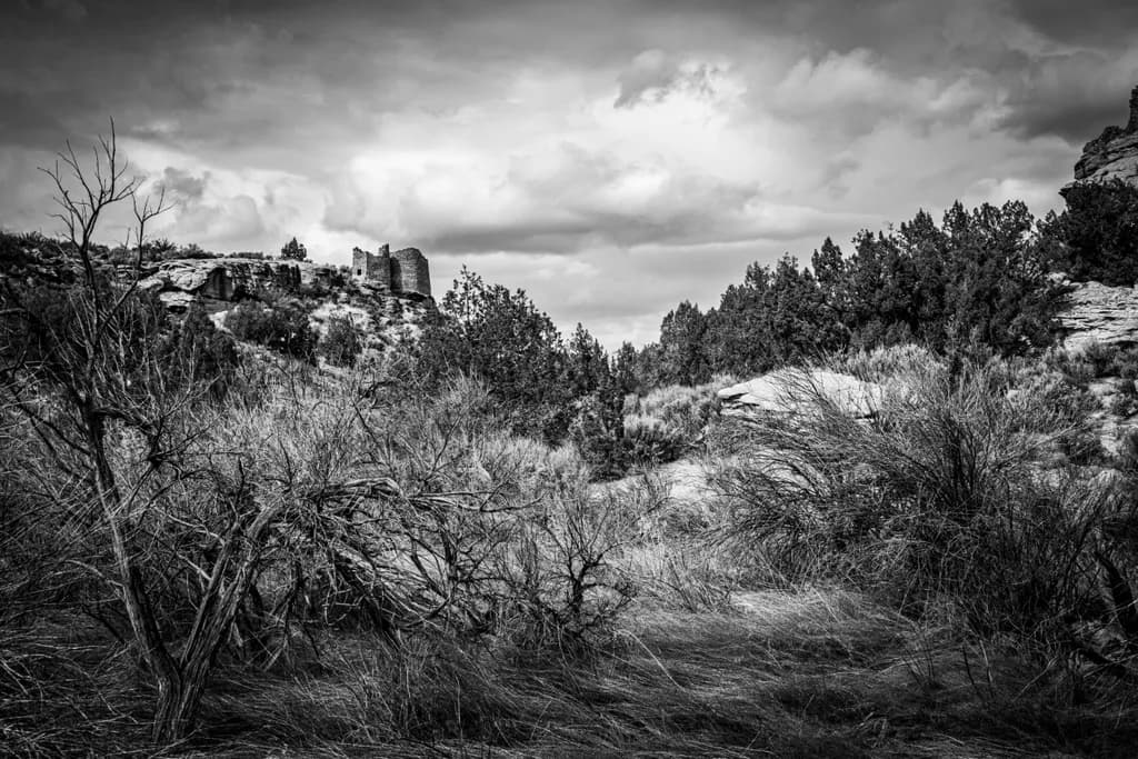Whispers of Desolation: A Monochrome Journey Through Nature's Ruins
