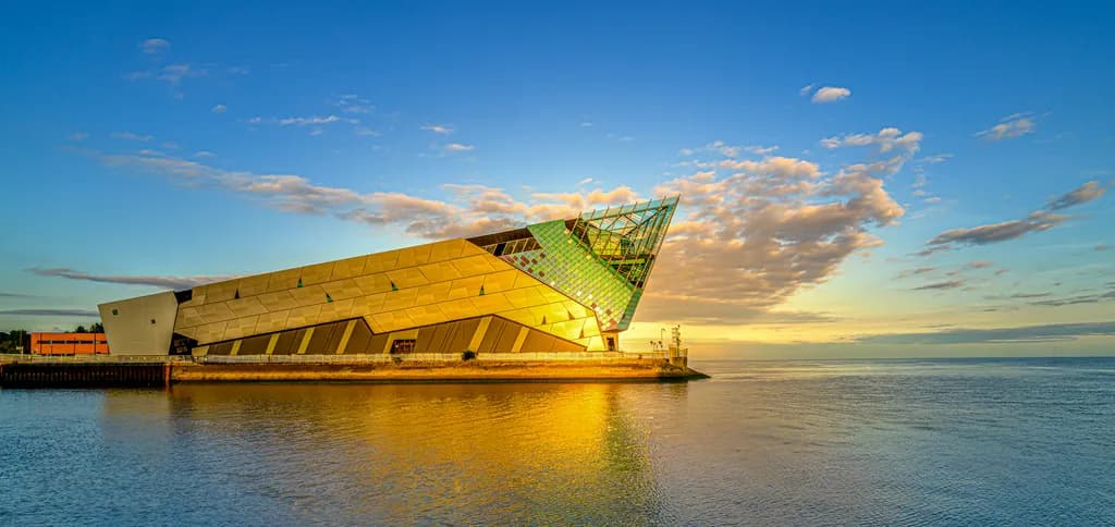 Golden Glow at the Deep