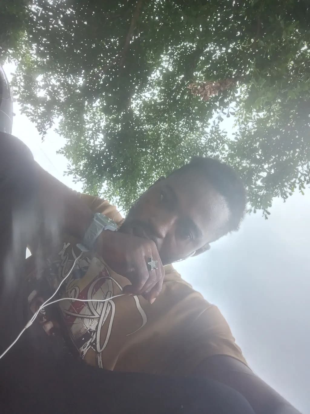 Urban Reflections: A Moment of Contemplation Under the Canopy of Nature