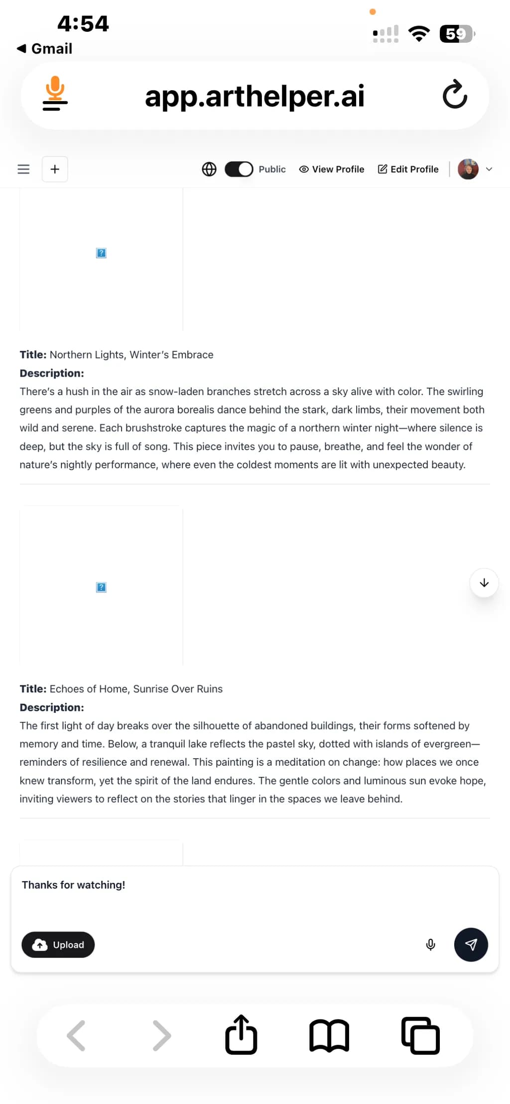 Northern Lights, Winter’s Embrace