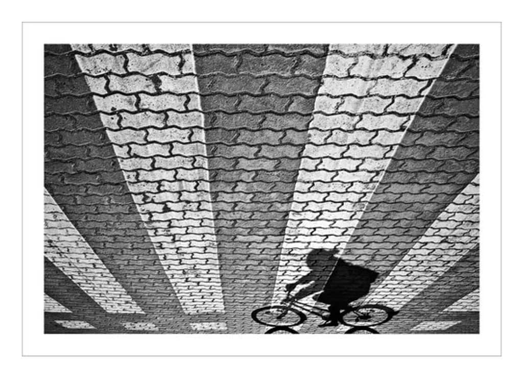 Shadow Ride