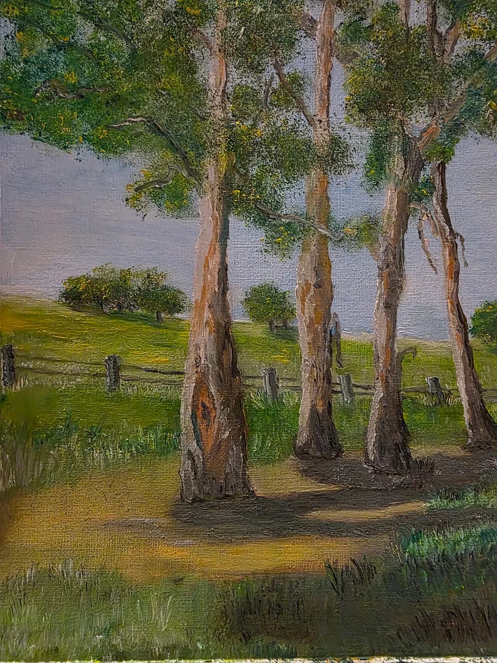 Sunlit Grove
