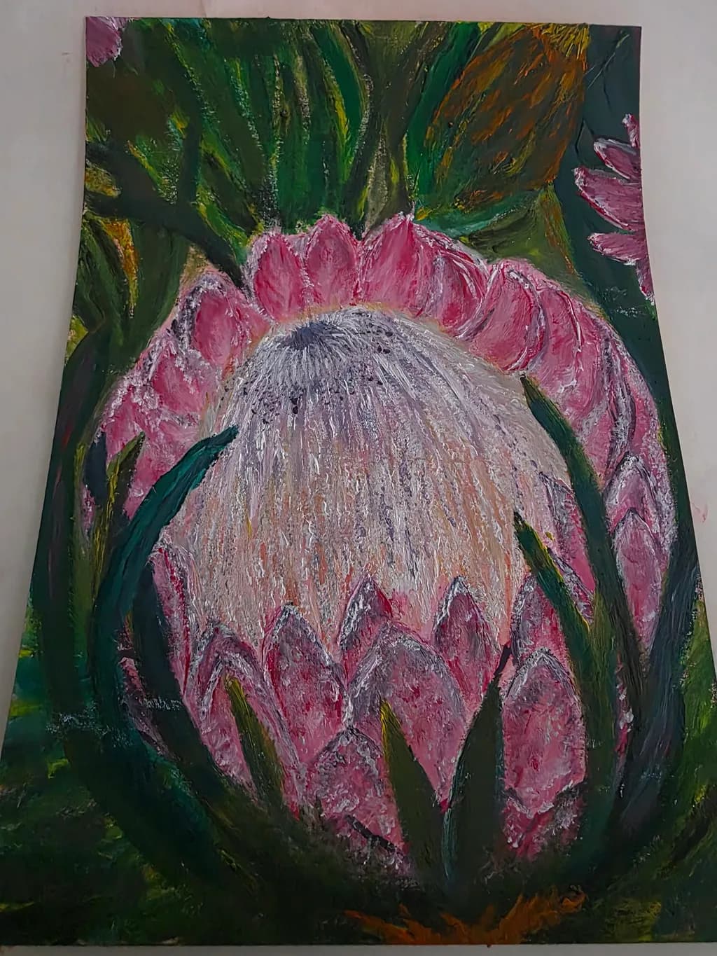 Pink Protea Bloom