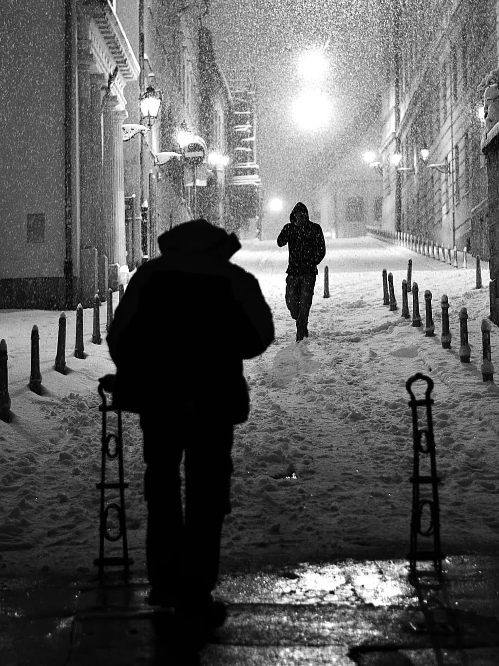 Whispers of Winter: A Solitary Journey Through the Snowy Night