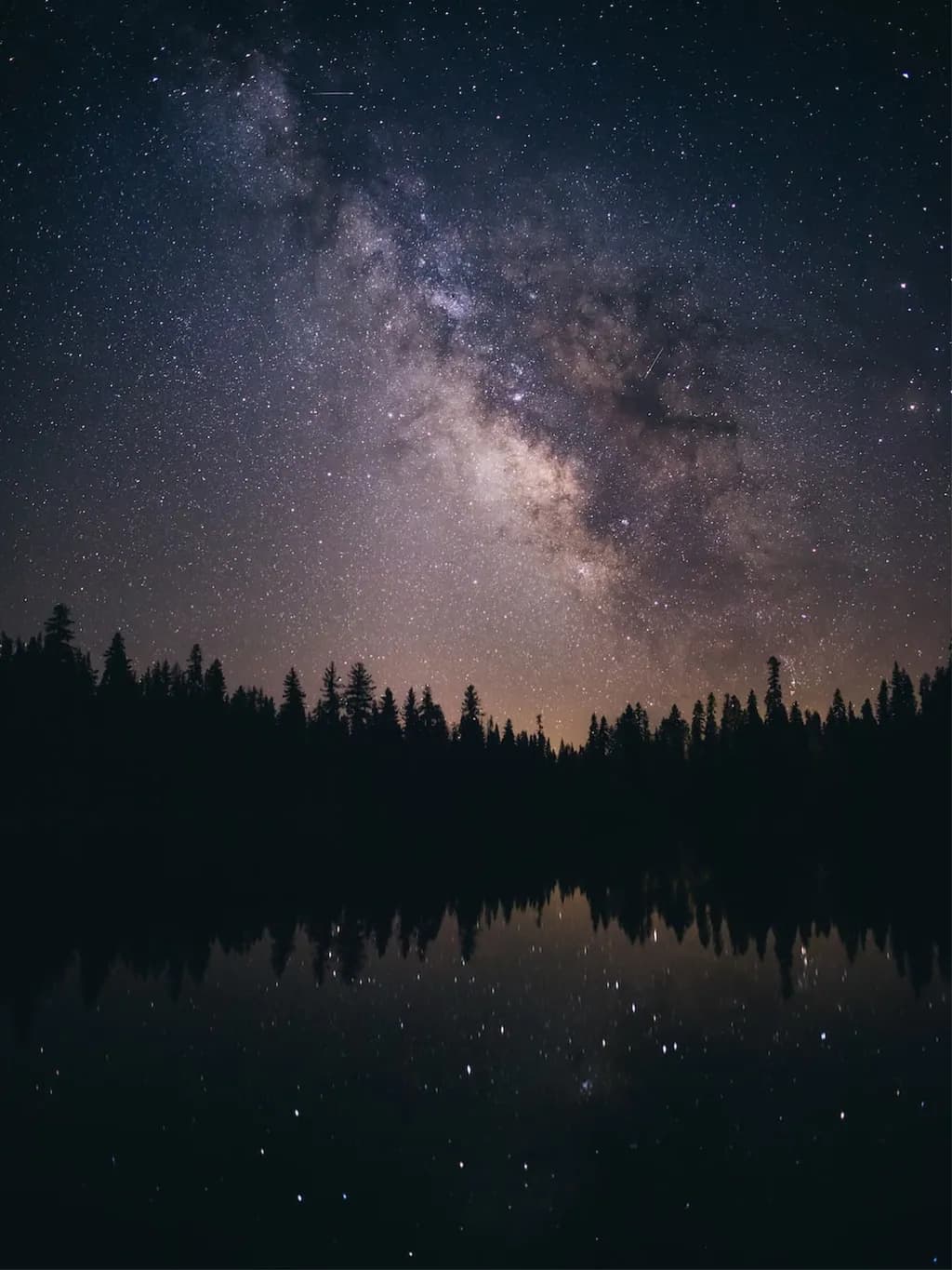 Starry Forest Reflection