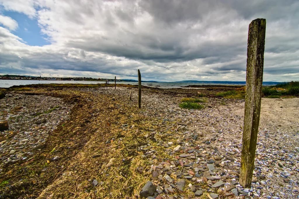 Rocky Shore Stakes