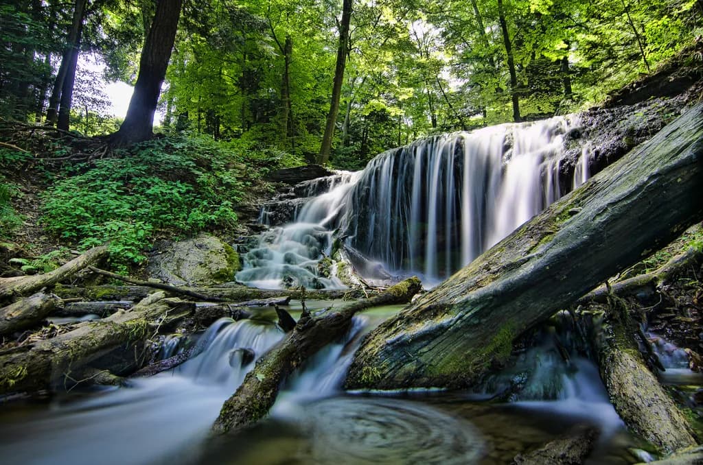 Whispers of the Forest: A Serene Waterfall Escape