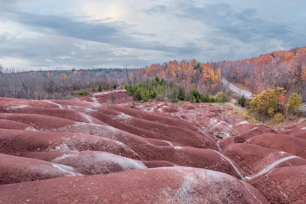 Autumn's Embrace: A Scenic Journey Through Nature's Colorful Terrain