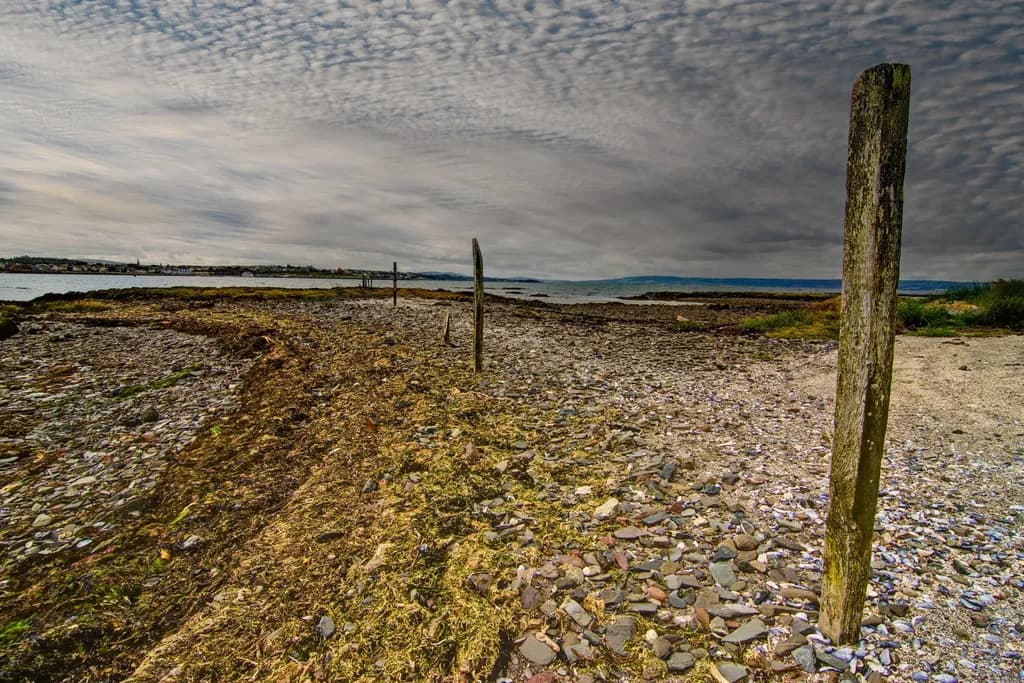 Whispers of the Shore: A Serene Journey Through Nature's Canvas