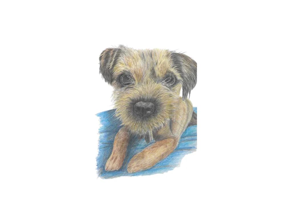 Whiskers and Warmth: A Heartfelt Portrait of a Playful Pup