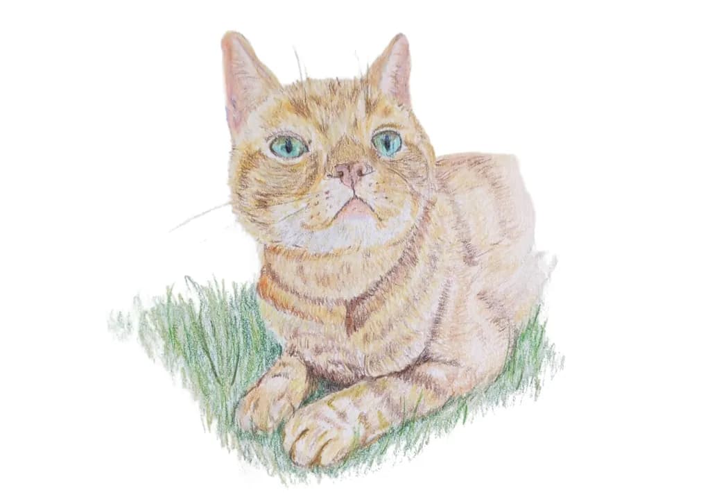 Whiskered Serenity: A Relaxed Portrait of a Green-Eyed Cat in Nature