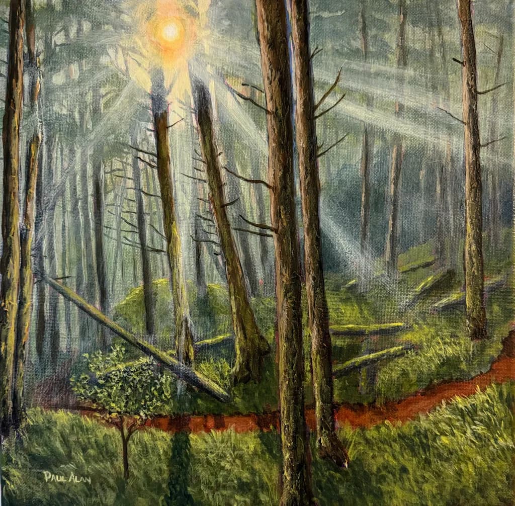 Whispers of Light: A Serene Forest Pathway at Dawn