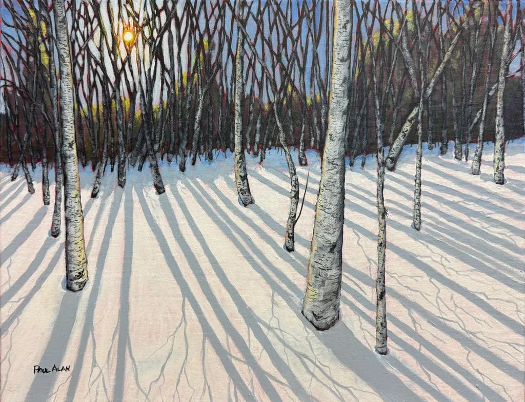 Whispers of Winter: Sunlit Shadows in a Snowy Forest
