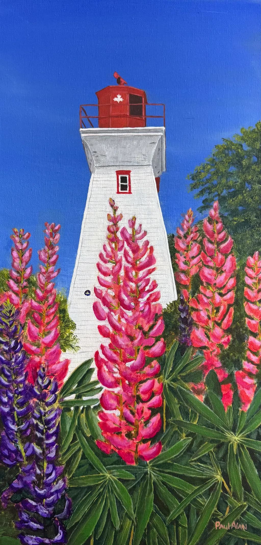 Radiant Beacon: A Lighthouse Surrounded by Vibrant Lupins Under a Clear Blue Sky