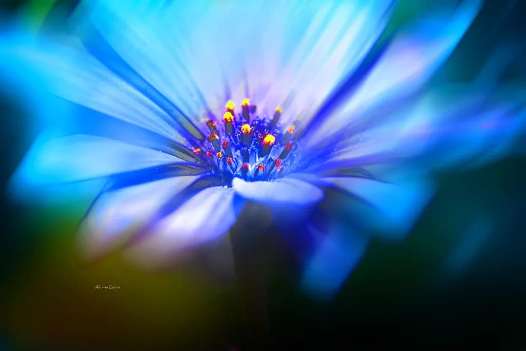 Blue Radiance