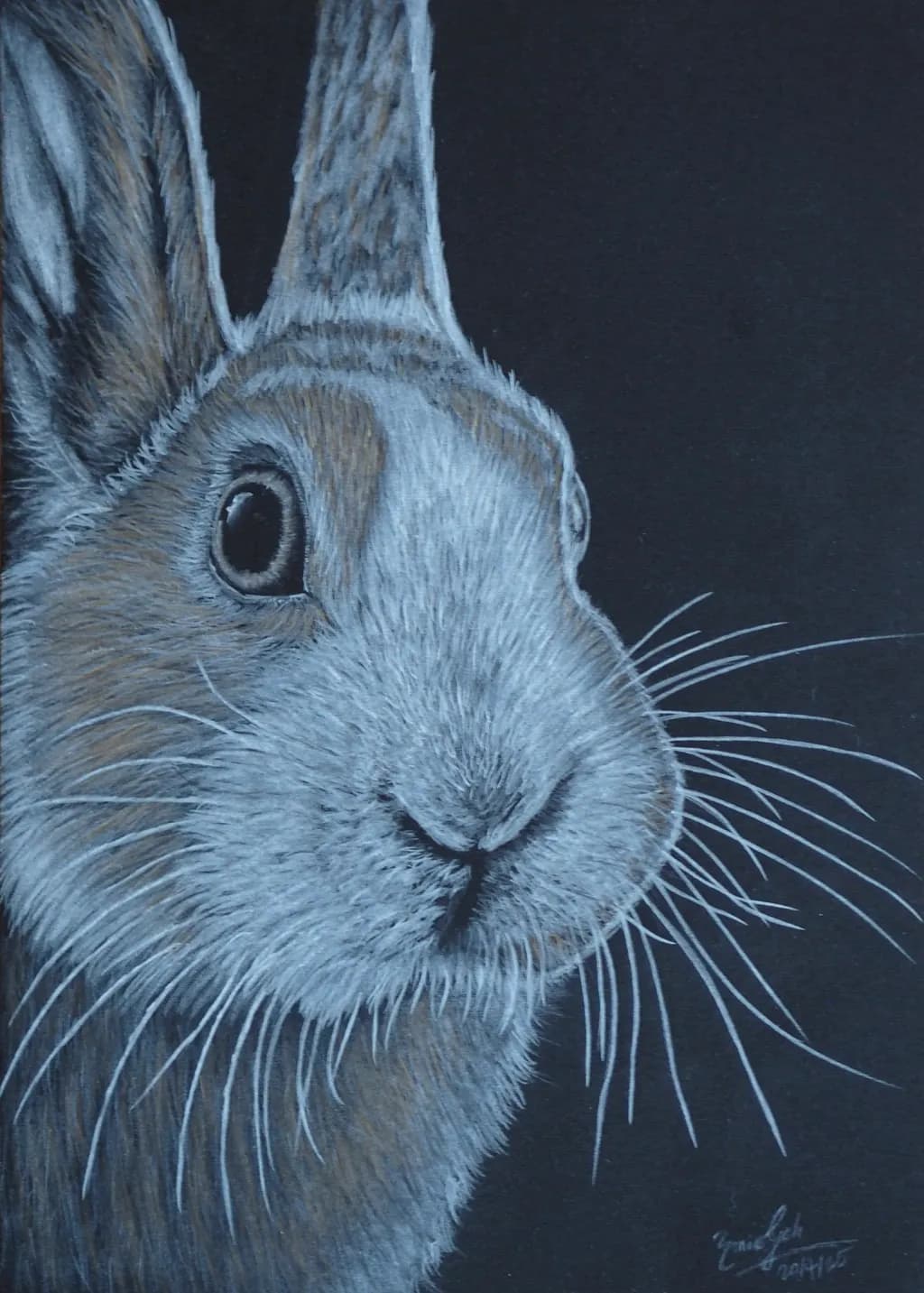 Whiskered Serenity: A Realistic Portrait of a Rabbit in Monochrome Elegance