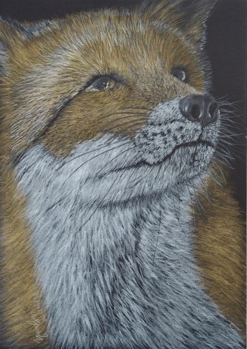Whispers of the Wild: A Realistic Portrait of a Fox in Majestic Fur