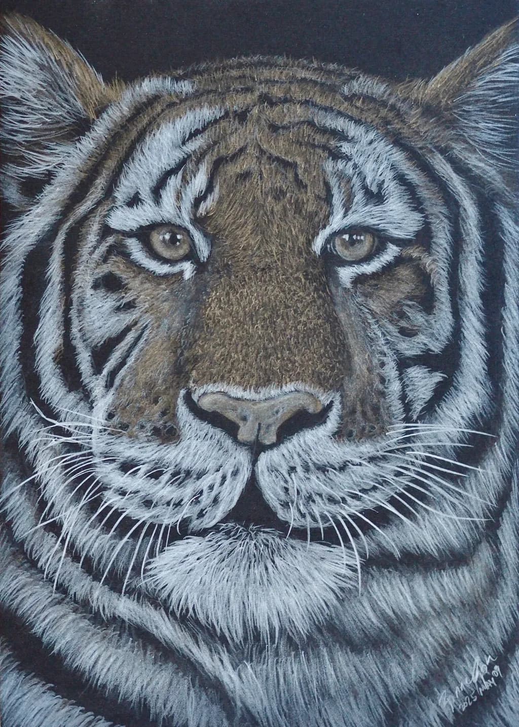 Majestic Gaze: The Intense Portrait of a Tiger