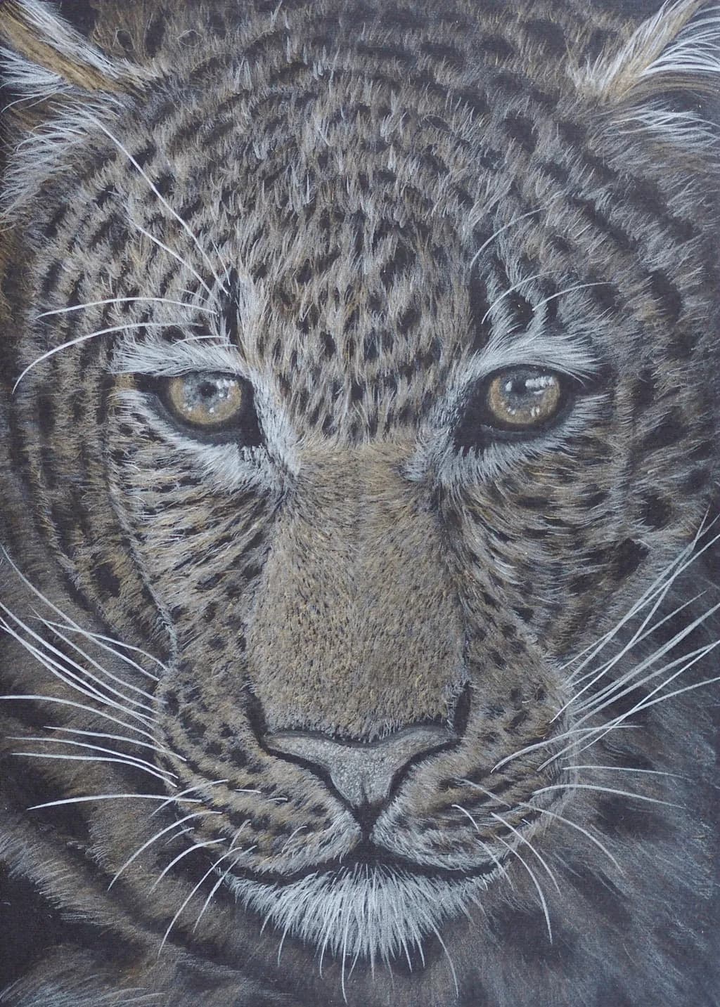 Majestic Gaze: A Realistic Portrait of a Feline's Intensity