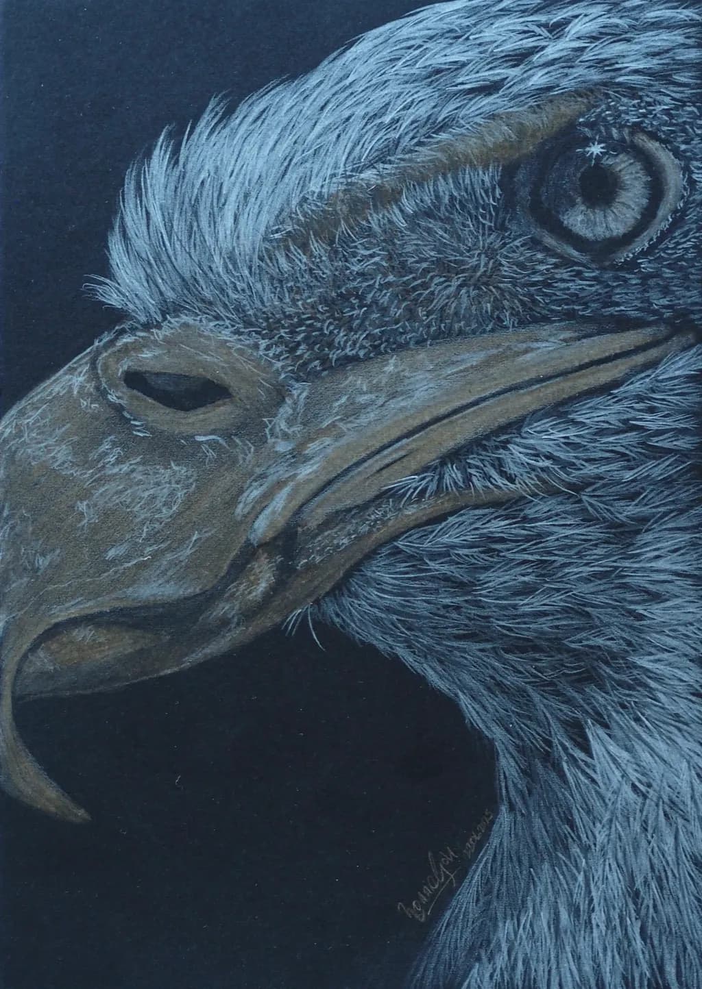 Majestic Gaze: A Realistic Portrait of an Eagle in Stunning Detail