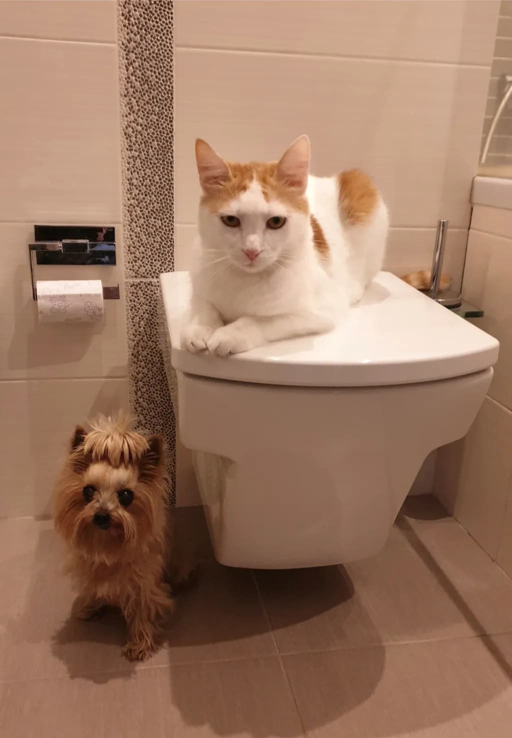 Whiskers and Wags: A Playful Moment in the Bathroom