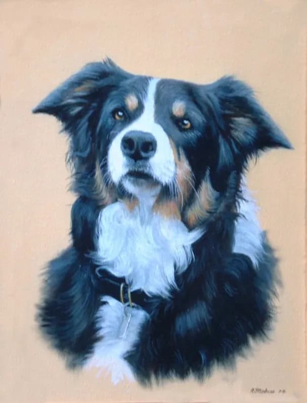 Noble Companion