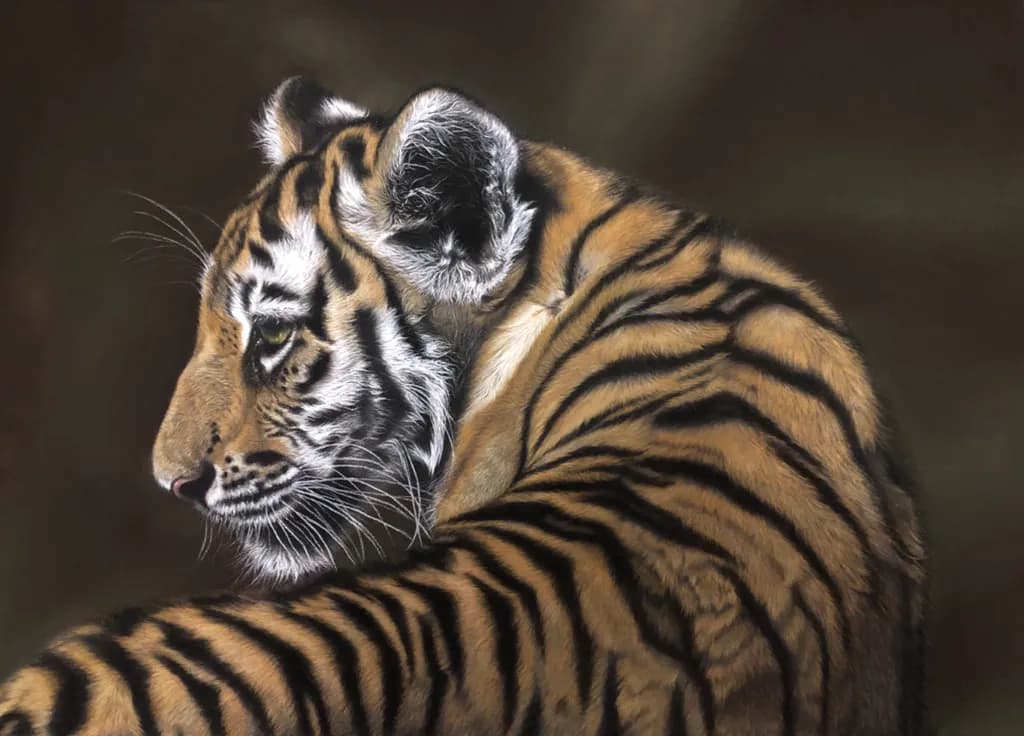 Majestic Gaze: A Portrait of the Regal Tiger in Profile