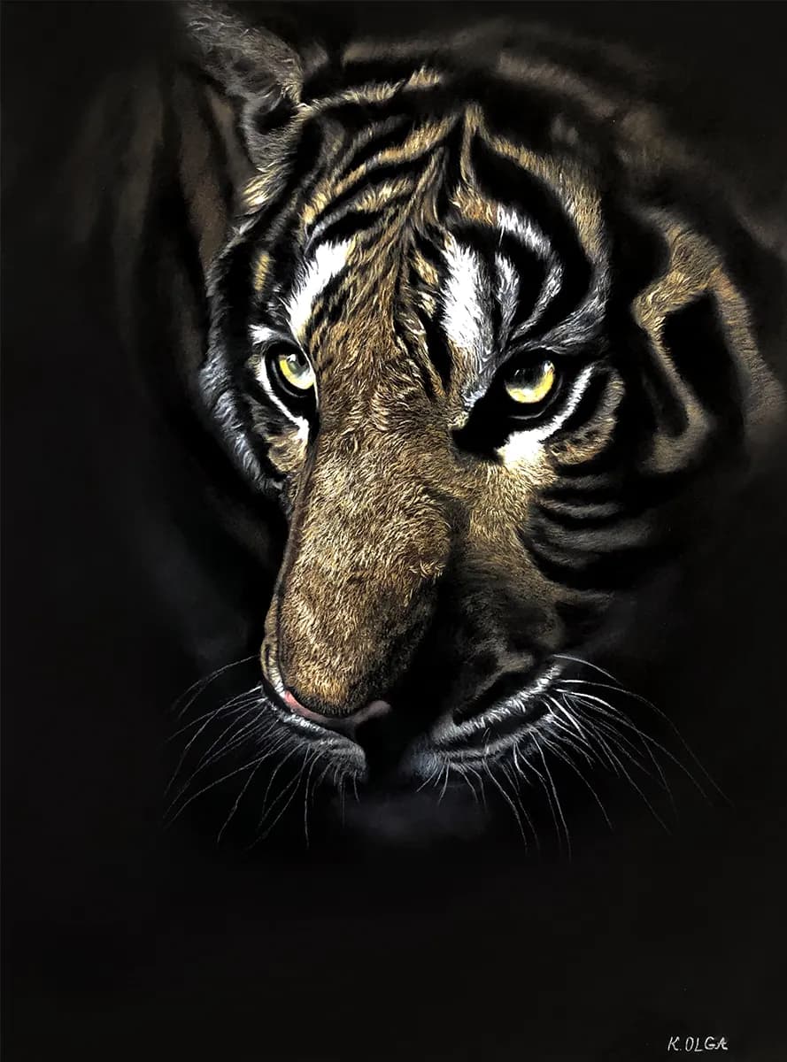 Majestic Gaze: A Realistic Portrait of a Tiger's Intensity