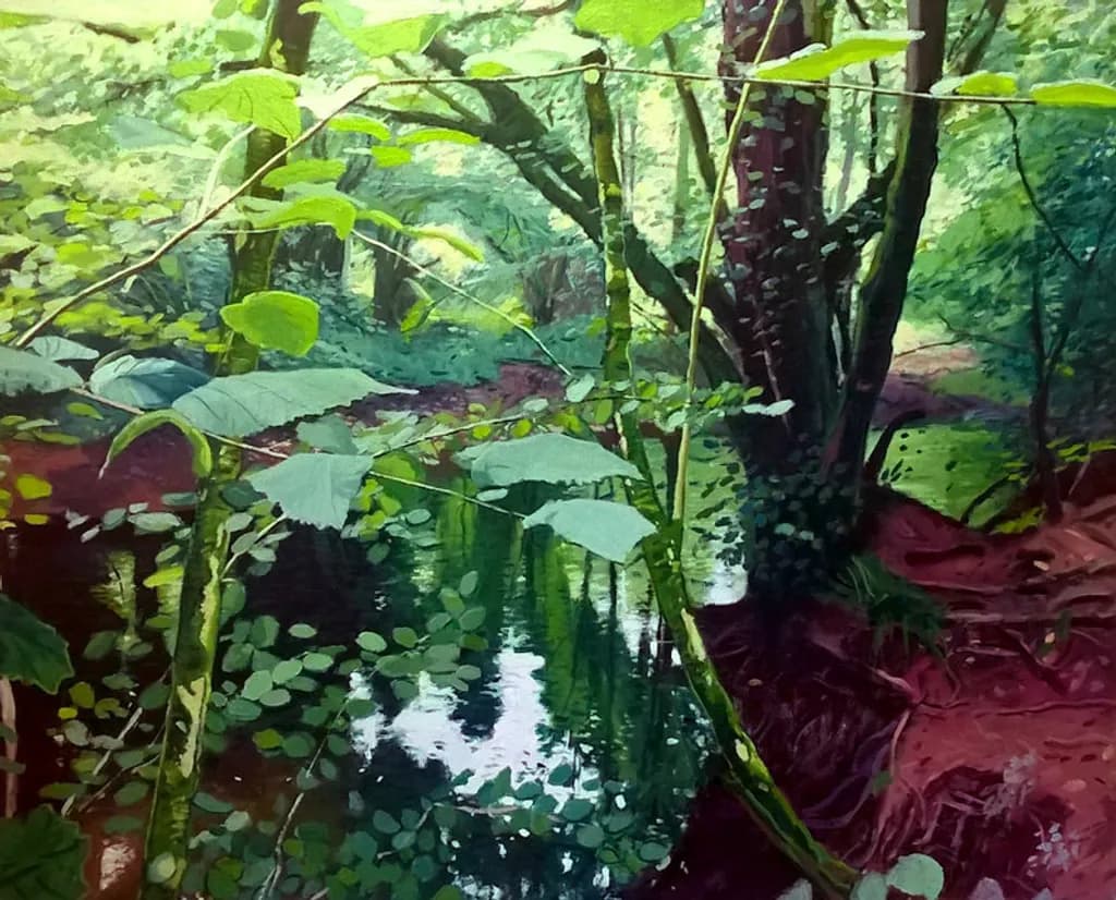 Forest Stream Reflections