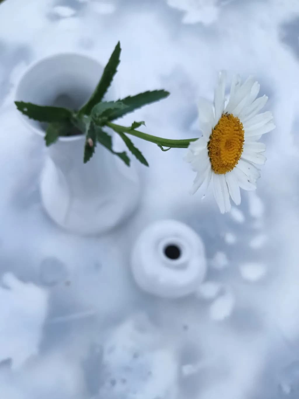 Whispers of Nature: A Delicate Daisy in a Minimalist Vase