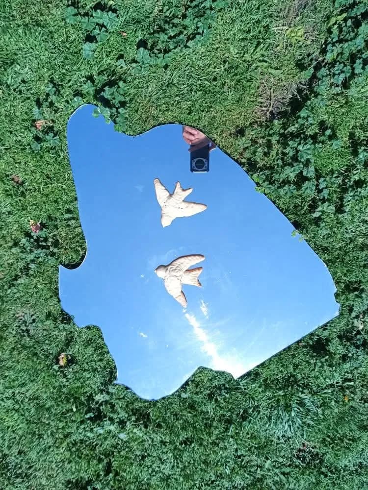 Reflections of Freedom: Birds in a Sky Mirror on Lush Grass