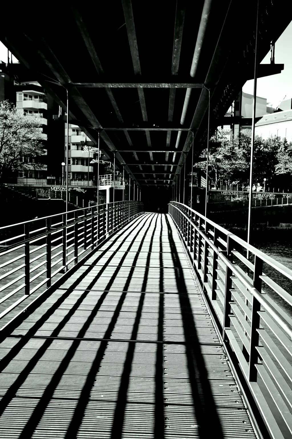 Shadows of Serenity: A Journey Beneath the Urban Canopy