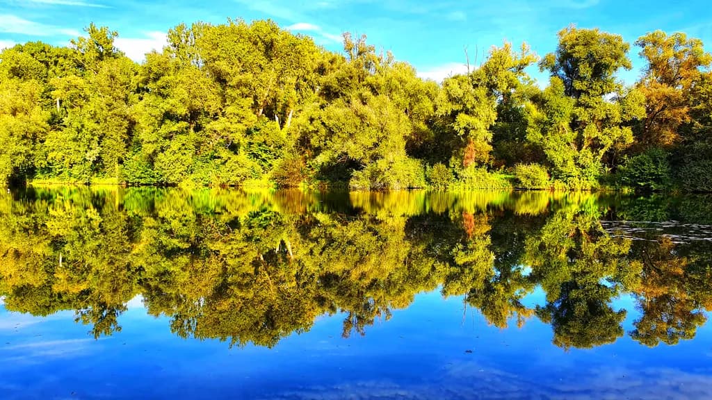 Whispers of Serenity: A Tranquil Reflection of Nature's Palette in Still Waters