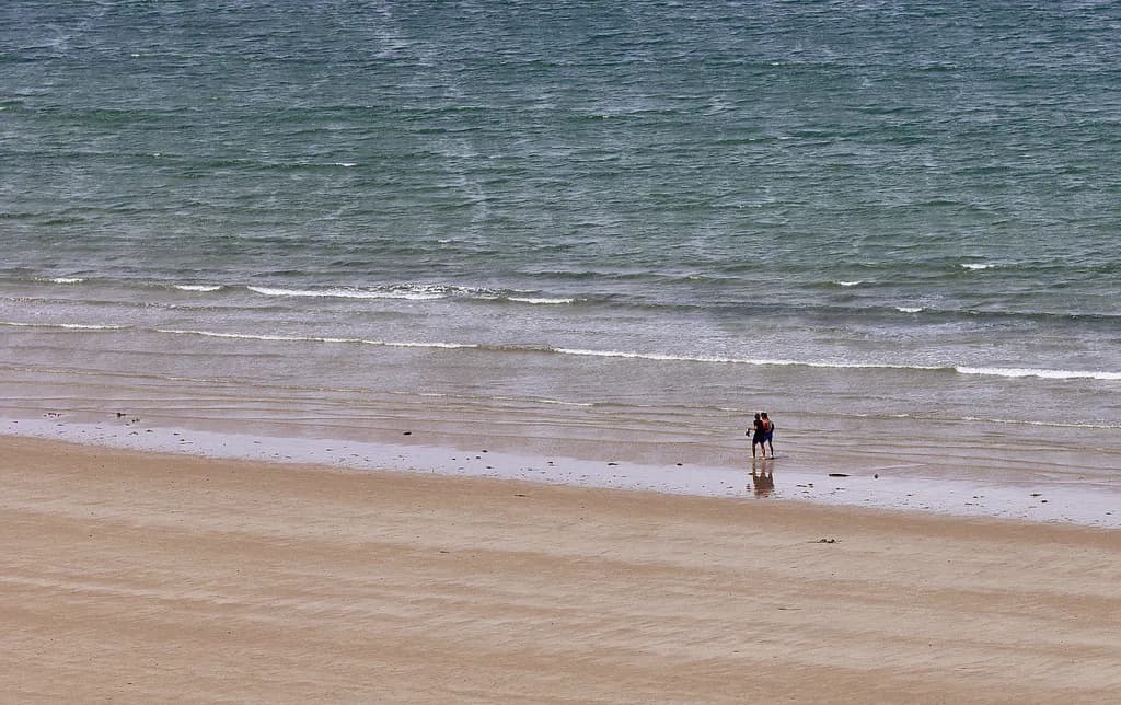 Whispers of the Shore: A Serene Stroll Along the Tranquil Beachfront