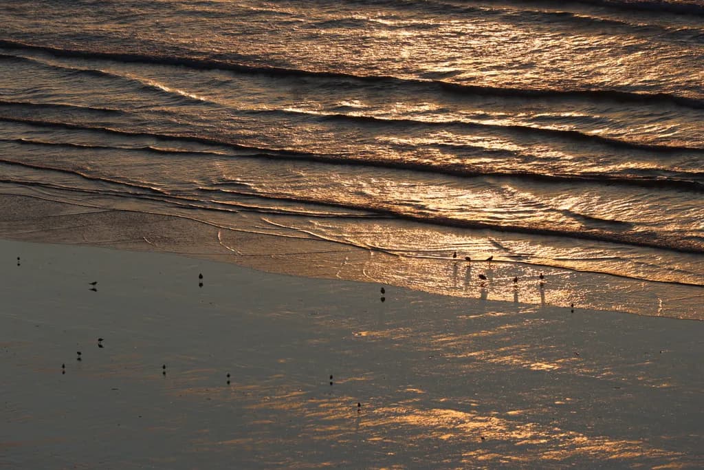 Whispers of the Tide: A Golden Reflection on Serene Shores